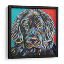 Buddy Canino I - Carolee Vitaletti | Cuadro decorativo de Canvas Lab