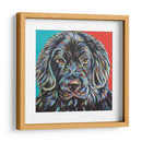 Buddy Canino I - Carolee Vitaletti | Cuadro decorativo de Canvas Lab