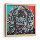 Buddy Canino I - Carolee Vitaletti | Cuadro decorativo de Canvas Lab
