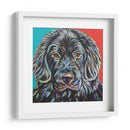Buddy Canino I - Carolee Vitaletti | Cuadro decorativo de Canvas Lab