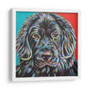 Buddy Canino I - Carolee Vitaletti | Cuadro decorativo de Canvas Lab