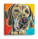 Buddy Canino Ii - Carolee Vitaletti | Cuadro decorativo de Canvas Lab