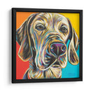 Buddy Canino Ii - Carolee Vitaletti | Cuadro decorativo de Canvas Lab