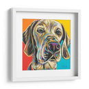 Buddy Canino Ii - Carolee Vitaletti | Cuadro decorativo de Canvas Lab