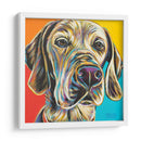Buddy Canino Ii - Carolee Vitaletti | Cuadro decorativo de Canvas Lab