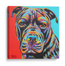 Canine Buddy Iii - Carolee Vitaletti | Cuadro decorativo de Canvas Lab
