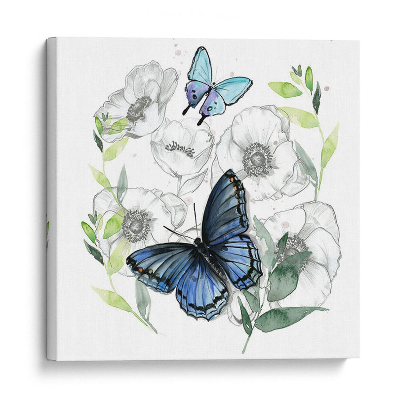 Mariposa Floral Ii - Jennifer Paxton Parker | Cuadro decorativo de Canvas Lab