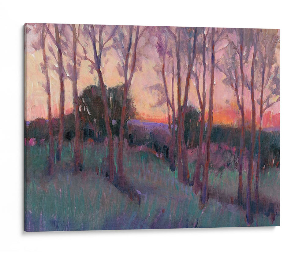 Luz De La Mañana Ii - Tim OToole | Cuadro decorativo de Canvas Lab