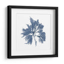 Alga Marina - Vision Studio | Cuadro decorativo de Canvas Lab