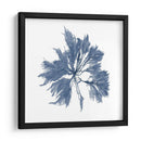 Alga Marina - Vision Studio | Cuadro decorativo de Canvas Lab