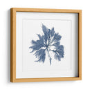 Alga Marina - Vision Studio | Cuadro decorativo de Canvas Lab