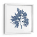 Alga Marina - Vision Studio | Cuadro decorativo de Canvas Lab