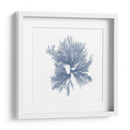 Marina Marina Iii - Vision Studio | Cuadro decorativo de Canvas Lab