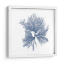 Marina Marina Iii - Vision Studio | Cuadro decorativo de Canvas Lab