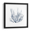 Alga Marina IV - Vision Studio | Cuadro decorativo de Canvas Lab