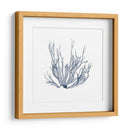 Alga Marina IV - Vision Studio | Cuadro decorativo de Canvas Lab