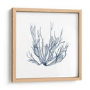 Alga Marina IV - Vision Studio | Cuadro decorativo de Canvas Lab