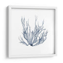 Alga Marina IV - Vision Studio | Cuadro decorativo de Canvas Lab