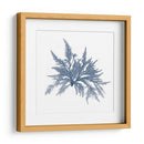 Alga Marina V - Vision Studio | Cuadro decorativo de Canvas Lab