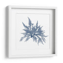 Alga Marina V - Vision Studio | Cuadro decorativo de Canvas Lab