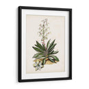 Estudio Botánico Antiguo I | Cuadro decorativo de Canvas Lab