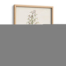 Estudio Botánico Antiguo I | Cuadro decorativo de Canvas Lab