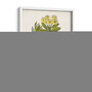 Estudio Botánico Antiguo Iv | Cuadro decorativo de Canvas Lab