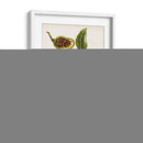 Estudio Botánico Antiguo Vi | Cuadro decorativo de Canvas Lab