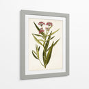 Estudio Botánico Antiguo Viii | Cuadro decorativo de Canvas Lab