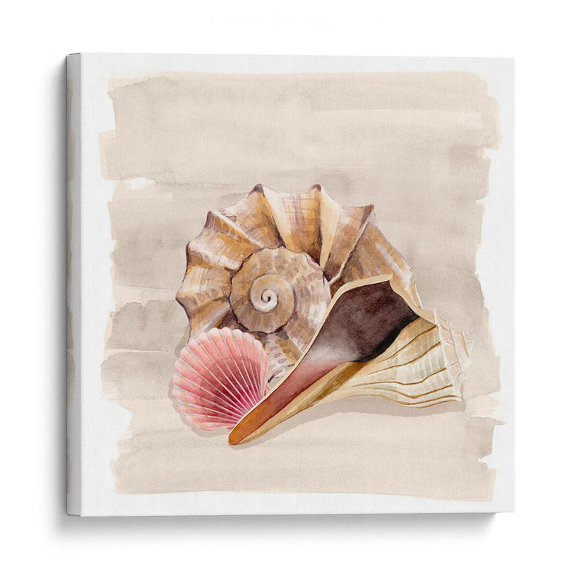 Ocean Keepsake Ii - Grace Popp | Cuadro decorativo de Canvas Lab