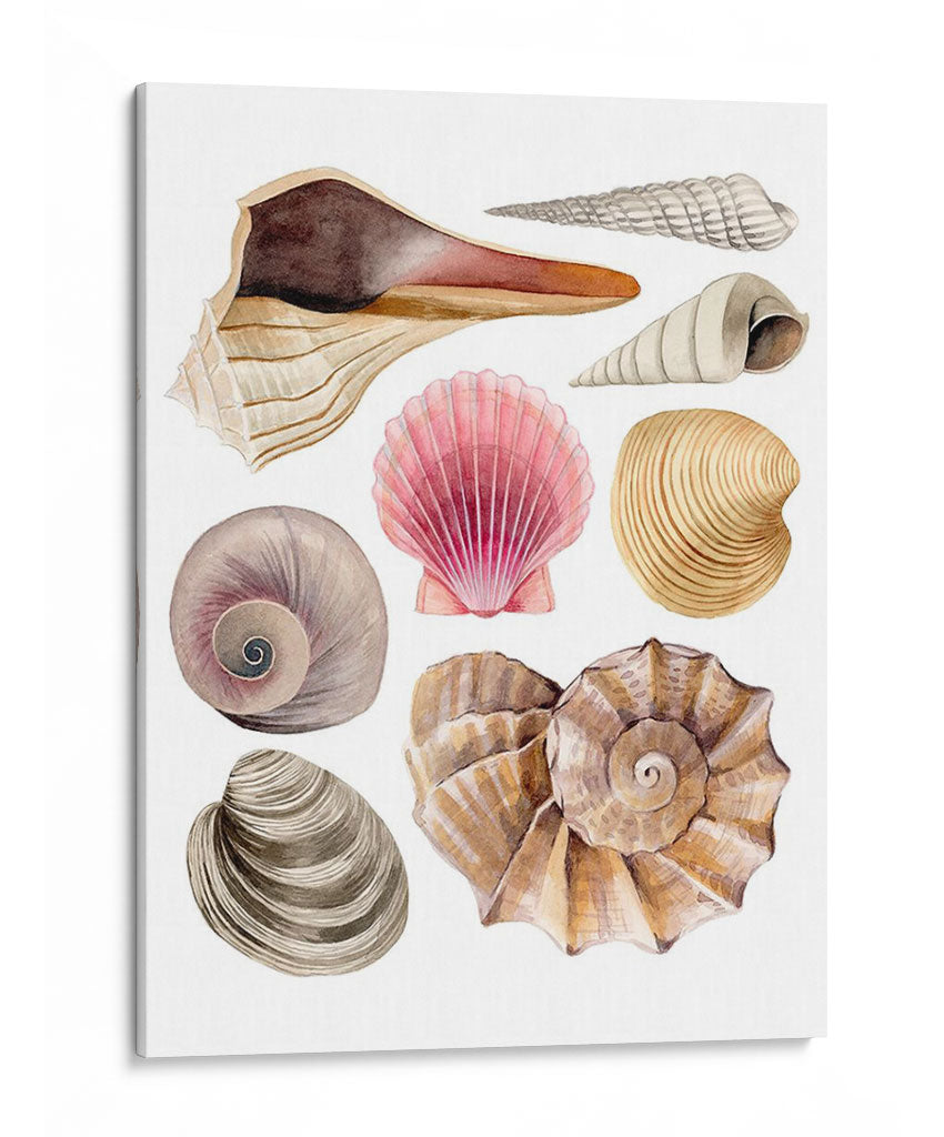 Souvenirs De Mar I - Grace Popp | Cuadro decorativo de Canvas Lab