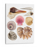 Souvenirs De Mar I - Grace Popp | Cuadro decorativo de Canvas Lab