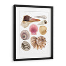 Souvenirs De Mar I - Grace Popp | Cuadro decorativo de Canvas Lab