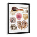 Souvenirs De Mar I - Grace Popp | Cuadro decorativo de Canvas Lab