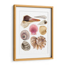 Souvenirs De Mar I - Grace Popp | Cuadro decorativo de Canvas Lab