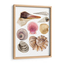 Souvenirs De Mar I - Grace Popp | Cuadro decorativo de Canvas Lab