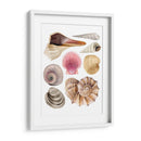 Souvenirs De Mar I - Grace Popp | Cuadro decorativo de Canvas Lab