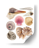 Souvenirs De Mar I - Grace Popp | Cuadro decorativo de Canvas Lab