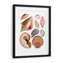 Souvenirs De Mar Ii - Grace Popp | Cuadro decorativo de Canvas Lab