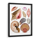 Souvenirs De Mar Ii - Grace Popp | Cuadro decorativo de Canvas Lab