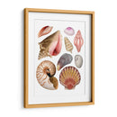 Souvenirs De Mar Ii - Grace Popp | Cuadro decorativo de Canvas Lab