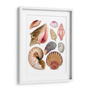 Souvenirs De Mar Ii - Grace Popp | Cuadro decorativo de Canvas Lab
