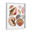 Souvenirs De Mar Ii - Grace Popp | Cuadro decorativo de Canvas Lab