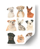 Doggos Y Cachaches I - June Erica Vess | Cuadro decorativo de Canvas Lab