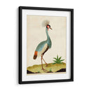 Heron Retrato I | Cuadro decorativo de Canvas Lab