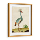 Heron Retrato I | Cuadro decorativo de Canvas Lab