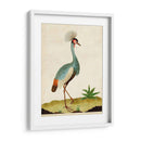 Heron Retrato I | Cuadro decorativo de Canvas Lab