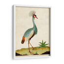 Heron Retrato I | Cuadro decorativo de Canvas Lab