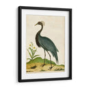 Heron Retrato Ii | Cuadro decorativo de Canvas Lab