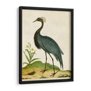 Heron Retrato Ii | Cuadro decorativo de Canvas Lab